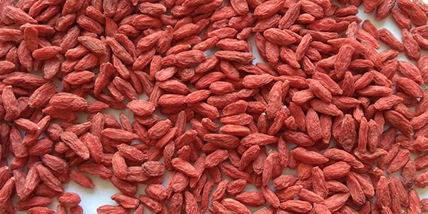 Efficacy of goji