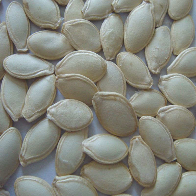 Shine Skin Pumpkin Seeds 