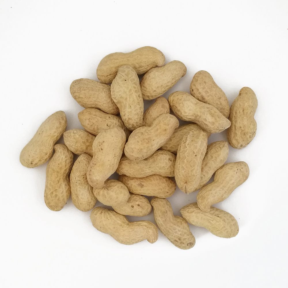 Roasted inshell monkey nut
