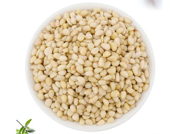Masson Pine nut Kernels