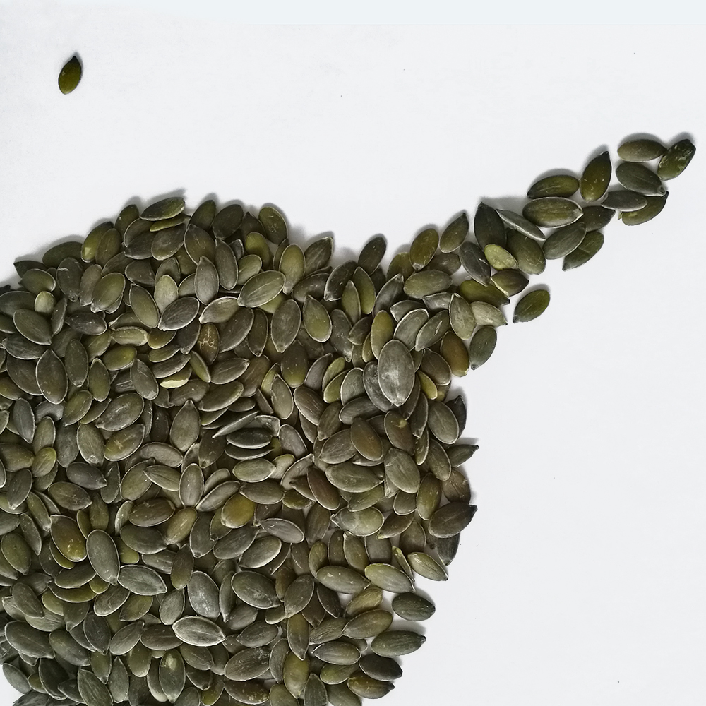AAA GRADE PUMPKIN SEED GWS
