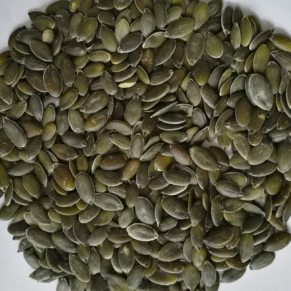 AA Grade Pumpkin Seed GWS